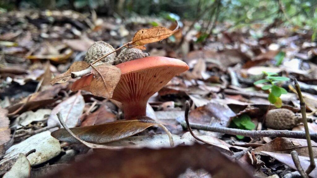 educazione ambientale in montagna