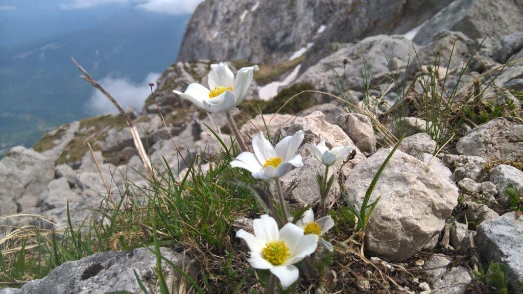 educazione ambientale in montagna