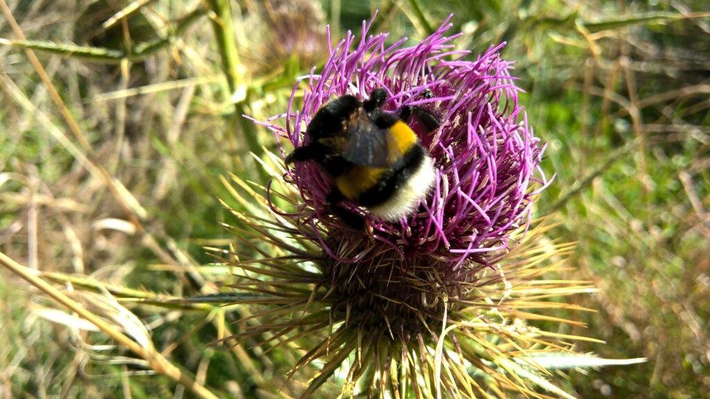 educazione ambientale in montagna