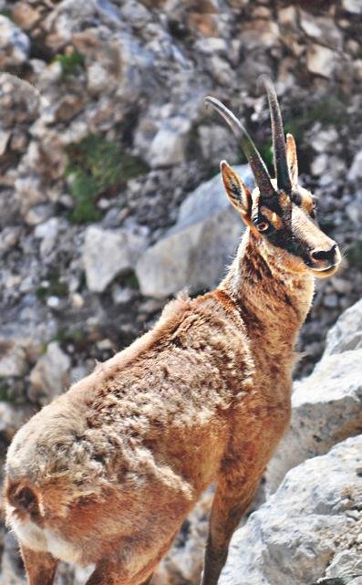 educazione ambientale in montagna