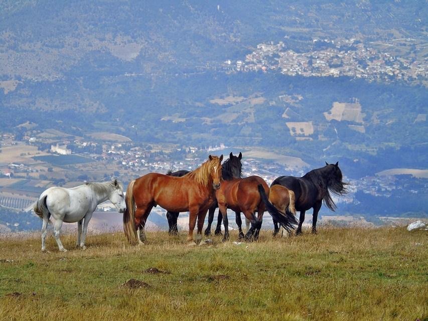 educazione ambientale in montagna